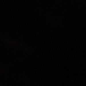 Meet your Posher, Tyson